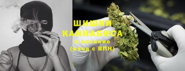 ГАЛЛЮЦИНОГЕННЫЕ ГРИБЫ Алексеевка