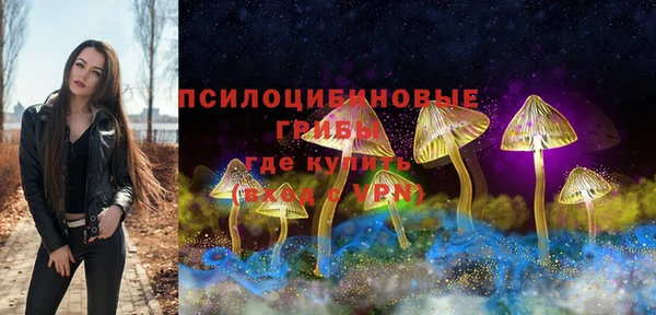 apvp Алексин