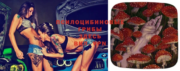 apvp Алексин